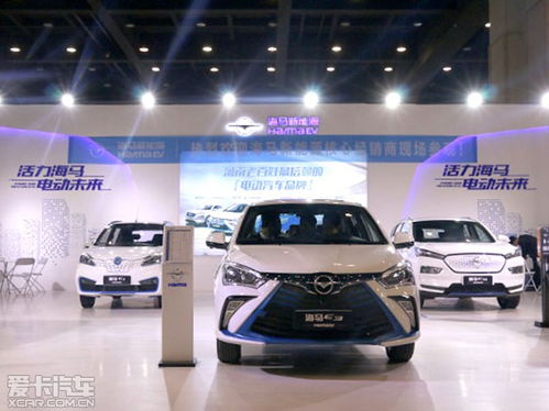 海马新能源E系列车型亮相2018郑州车展